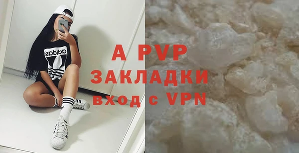 спиды Магас