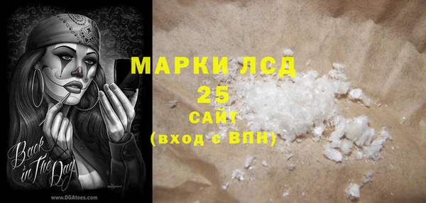 спиды Магас