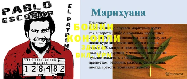 мяу мяу кристалл Архангельск