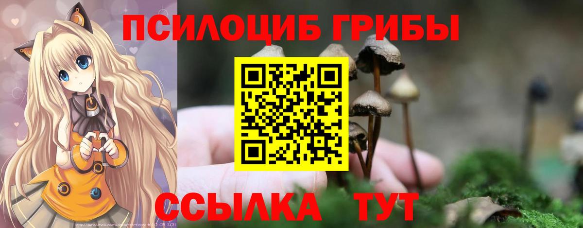 Галлюциногенные грибы Psilocybine cubensis Благодарный