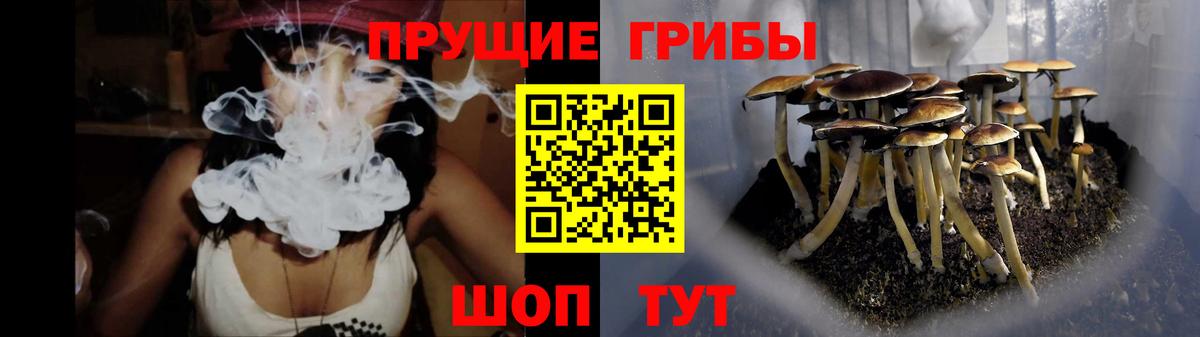 Благодарный  Галлюциногенные грибы Psilocybe  Вход с VPN 